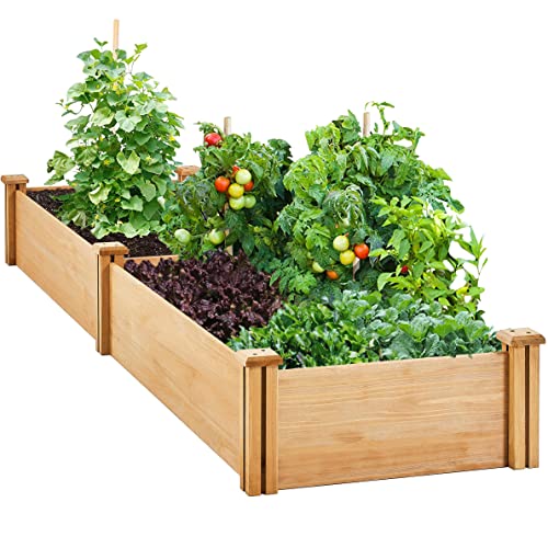 Yaheetech Hochbeet Pflanzkasten Palettenrahmen Diy Mit 2 Pflanzbereichen